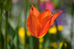 2019.里山ガーデン