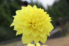 20171001134548_IMG_1083