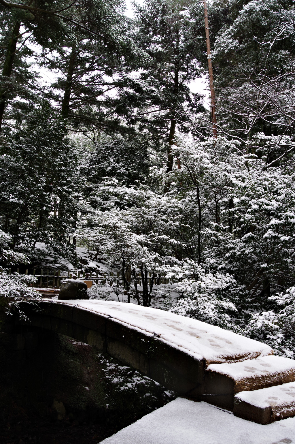 雪の兼六園 (27)