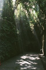 フィルム 猿島 ジブリの世界