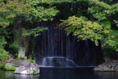 姫路城周辺観光 好古園　滝も綺麗