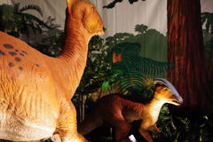 恐竜展