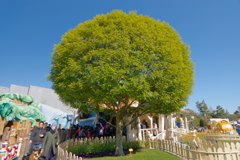 快晴と夜の初ディズニーランド やたらと綺麗に丸