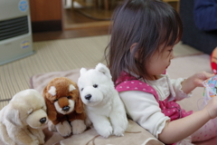 姪のぬいぐるみ達