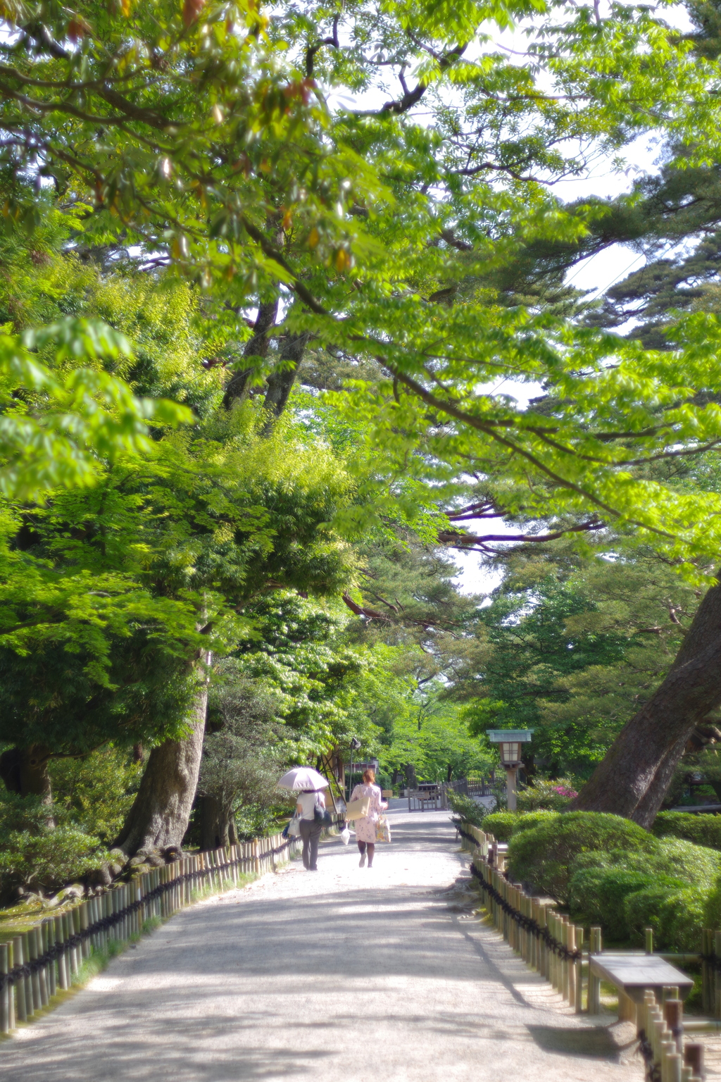早朝のお散歩 (6)