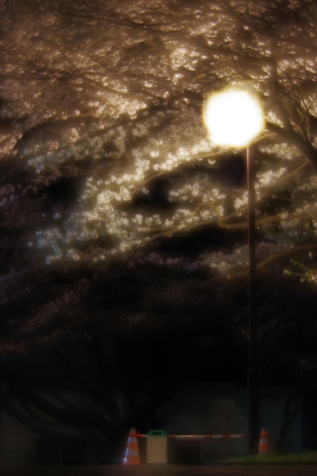 試し撮り pentax smc 85mm f2.2 soft focus
