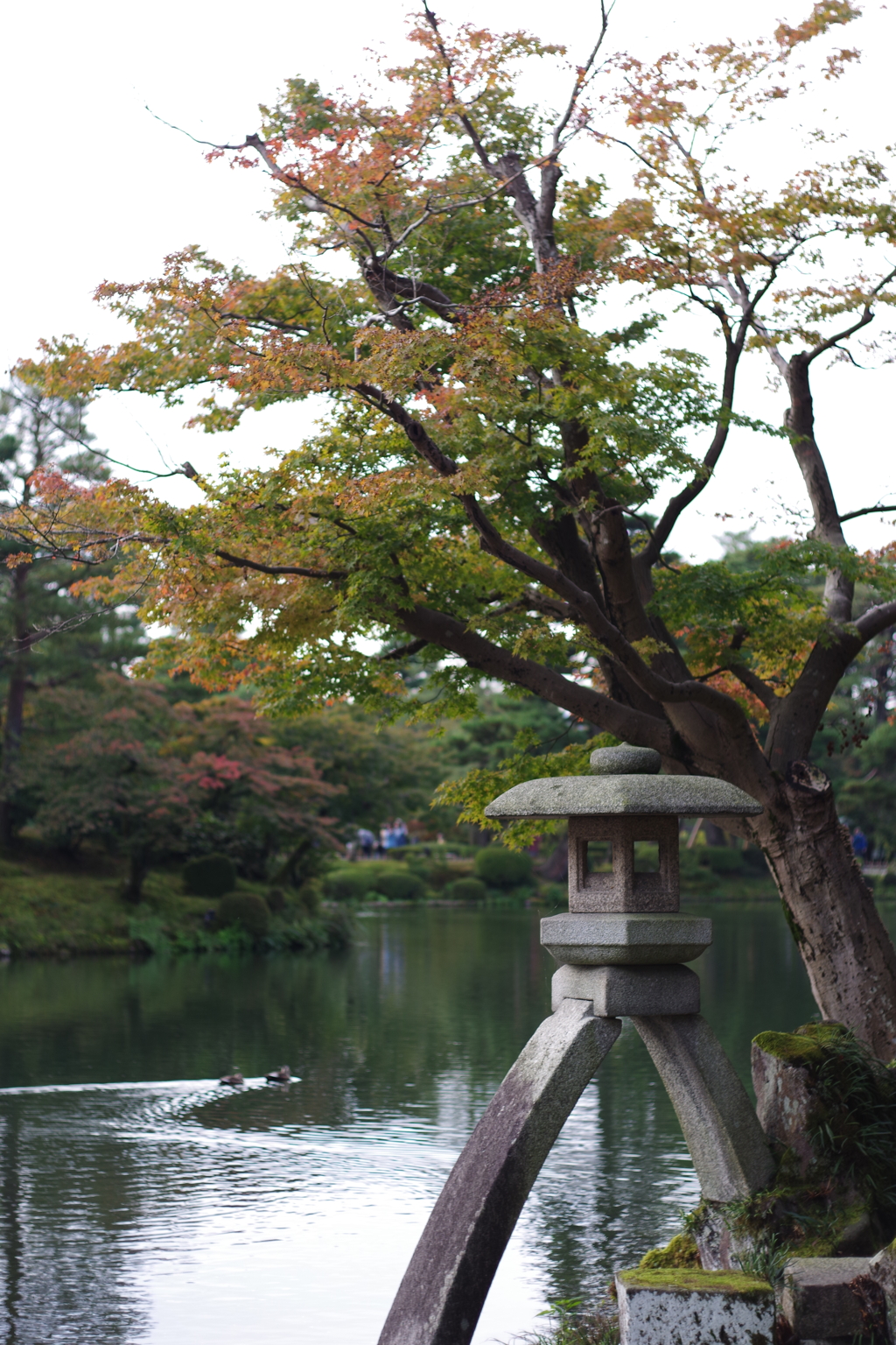 金沢 紅葉 オールドレンズ散歩 (16)