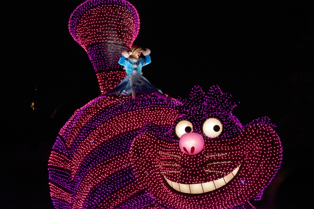 夜の初ディズニーランド 9