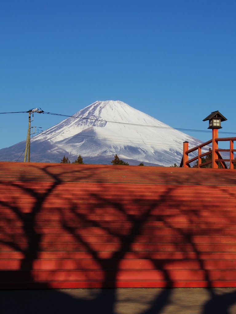 静岡側から富士山