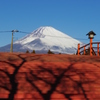 静岡側から富士山