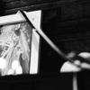 エリスマン邸 ハロウィン　モノクロ写真をモノクロフィルムで撮影