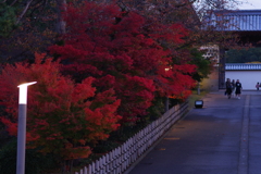 金沢城跡 夕方 (11)