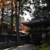 那谷寺 紅葉 (56)