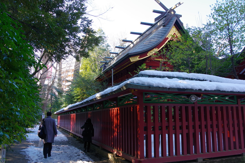 大国魂神社 雪道