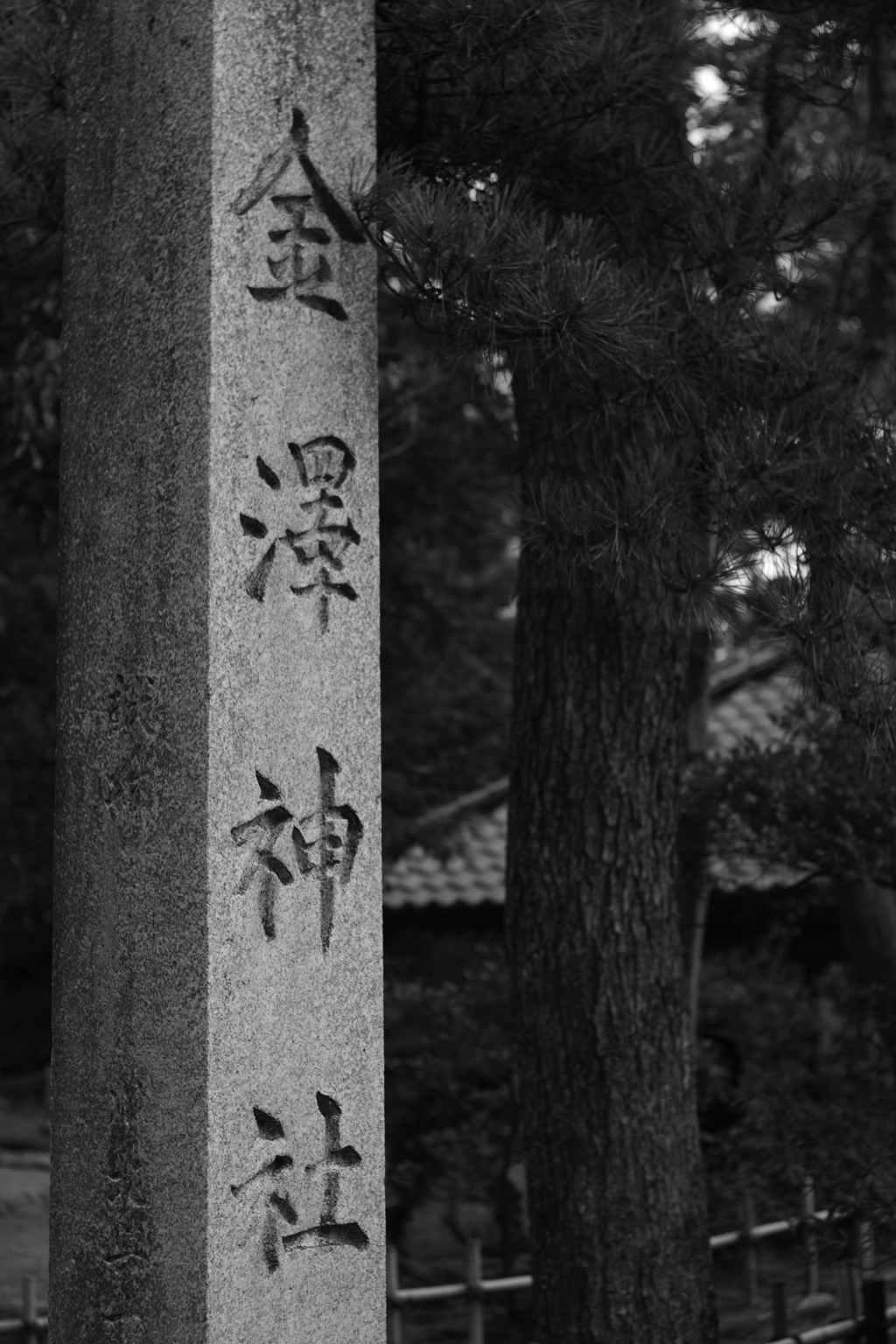 YASHICAでお散歩 白黒で撮ってみた