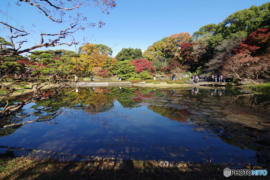 皇居 紅葉2015年 (3)