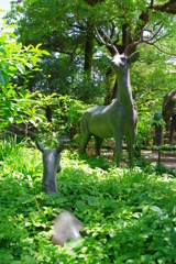 大宰府天満宮　シカの親子