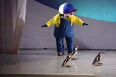 油壺マリンパーク ペンギンの競演