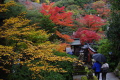 那谷寺 紅葉 (87)