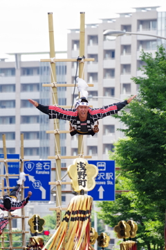 加賀鳶はしご登り ご一行　飛んでます！！