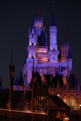 夜の初ディズニーランド 3