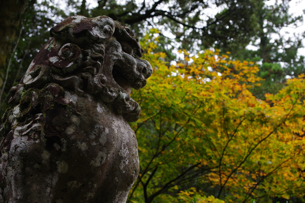 那谷寺 紅葉 (86)