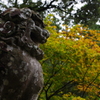 那谷寺 紅葉 (86)