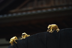 尾山神社 よくわからないかえる