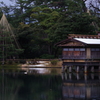 早朝の兼六園 (3)