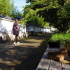 姫路城周辺観光 猫と笑顔の女性