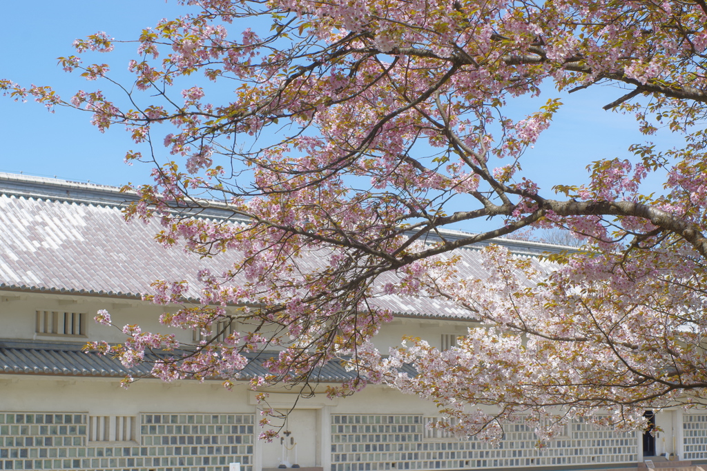 金沢城跡 オールドレンズ散歩