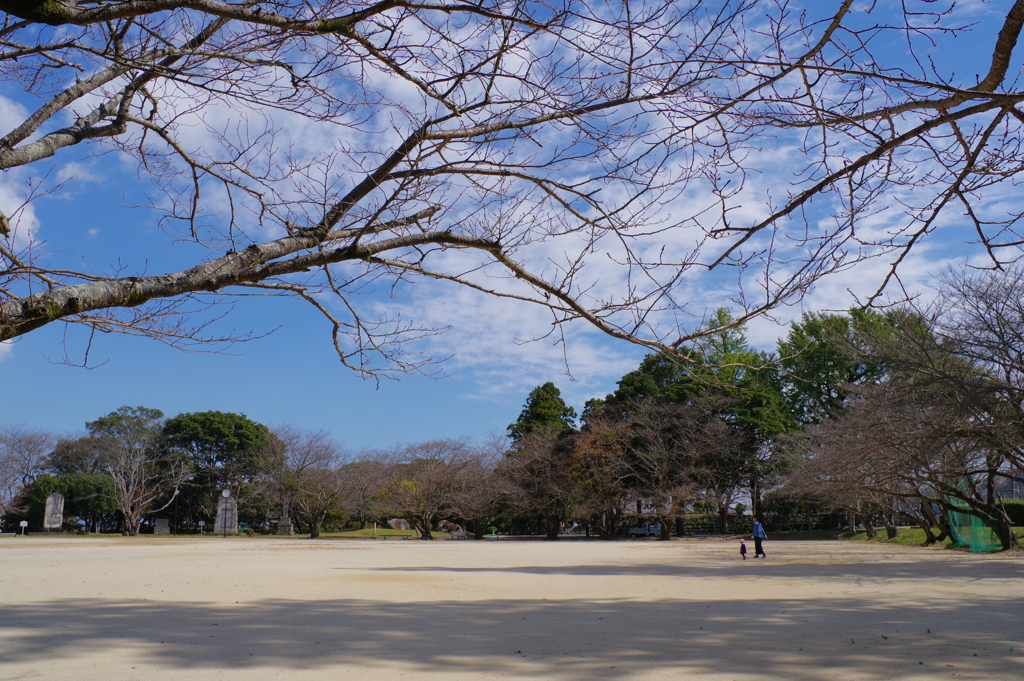 大分ちょっと旅行 臼杵城跡 今では公園になっているようです。