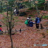 雨に濡れる晩秋の兼六園 (18)