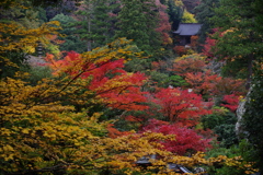 那谷寺 紅葉 (88)