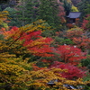 那谷寺 紅葉 (88)