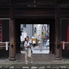 高幡不動尊 犬と仲良く