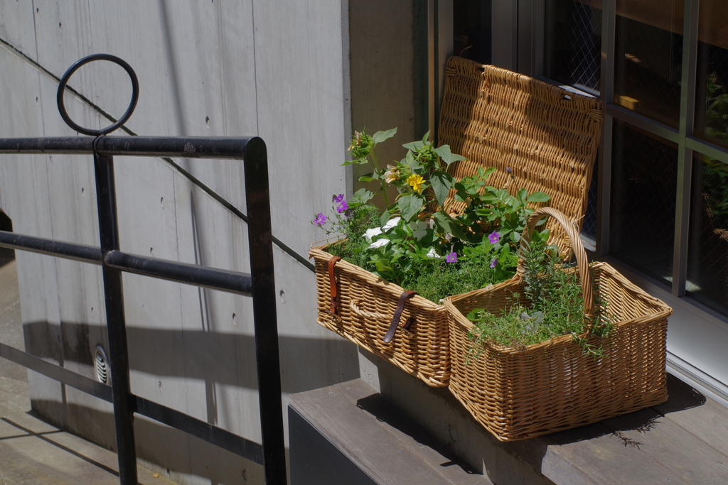 西洋館散歩 pentax A 50mm f1.4