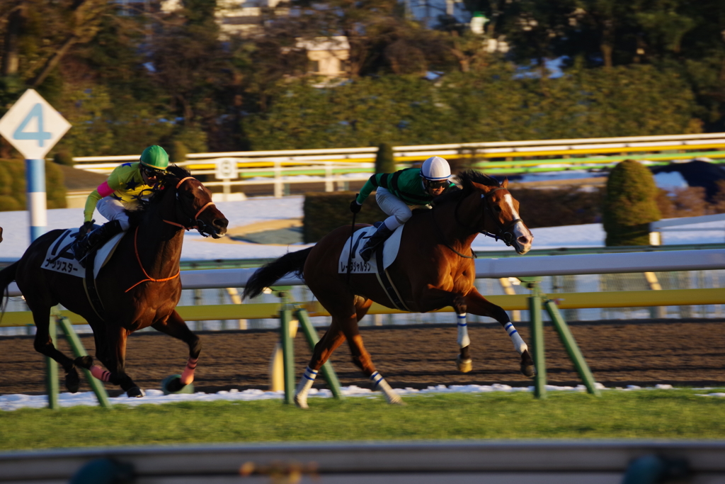 ラストレース　シャッター速度遅めで撮影