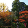 那谷寺 紅葉 (54)