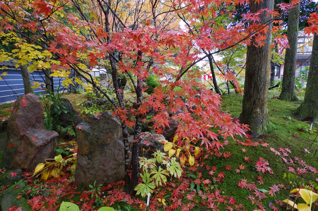 那谷寺 紅葉 (5)