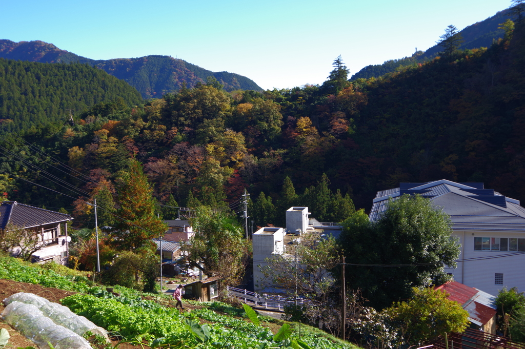 奥多摩むかしみち 気持ちのいいところです