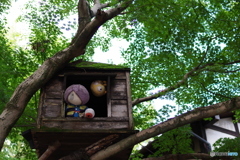 調布 深大寺 神代植物公園 (4)