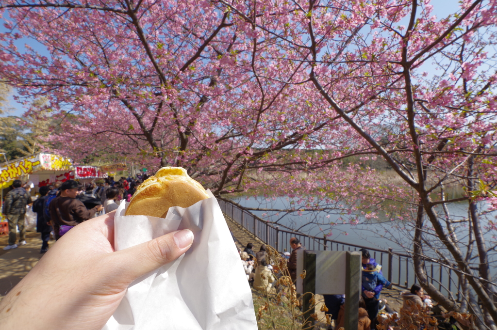 DA 11-18mm f2.8 試し撮り 小松ヶ池公園 昼食