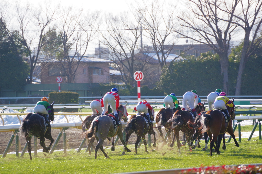 競馬を撮ってみた　ゴール