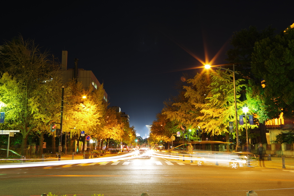 みなとみらい夜景 その2