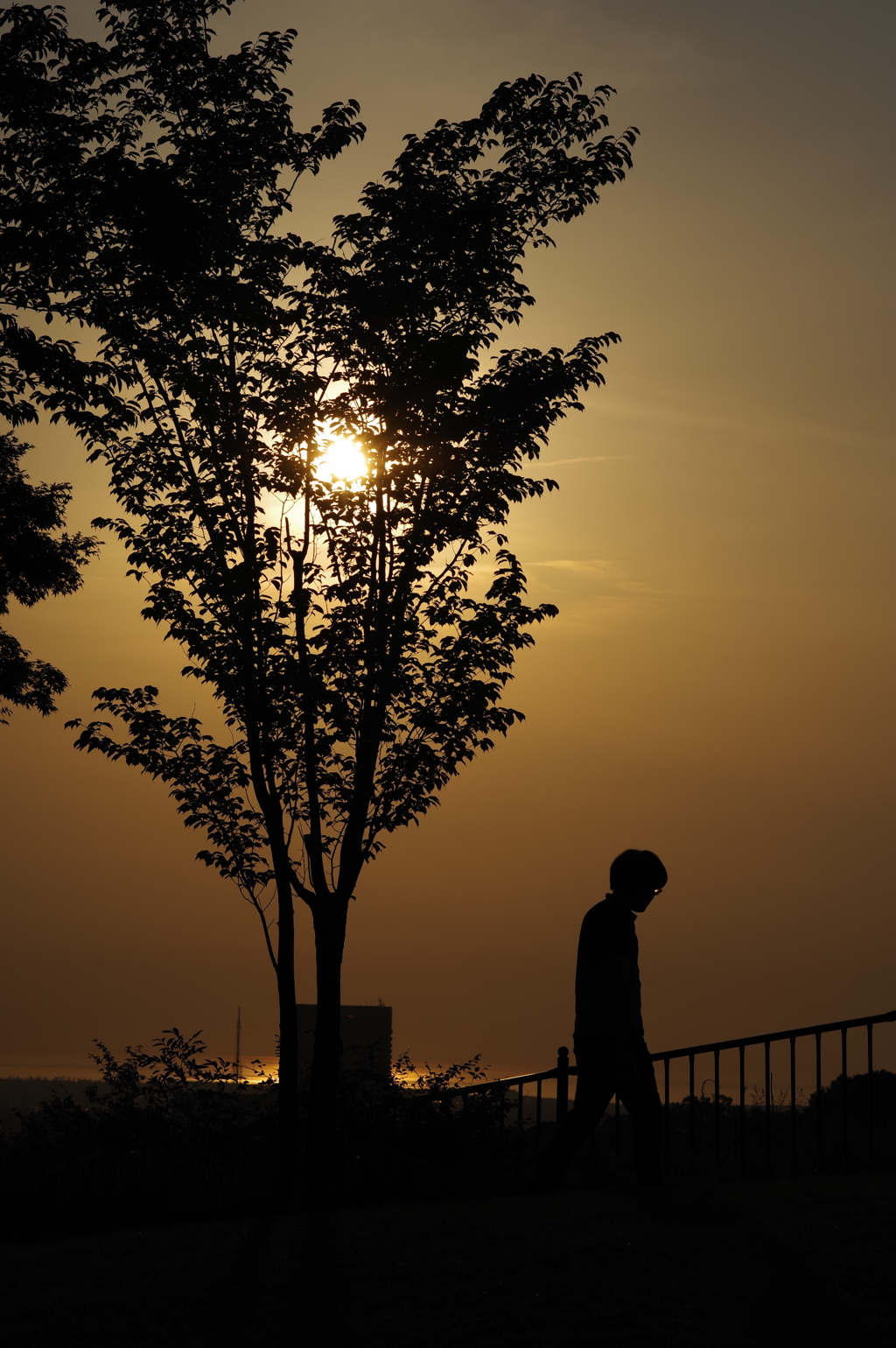 金沢 卯辰山夕方