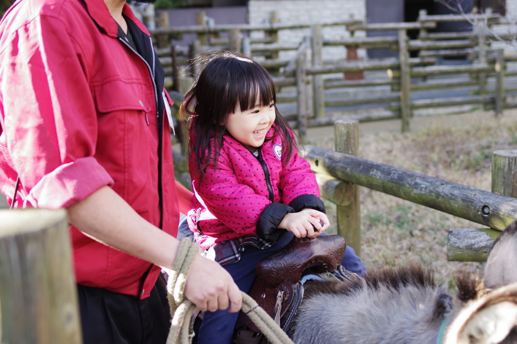 正月 姪 動物園にて 嬉しそうにロバに乗る