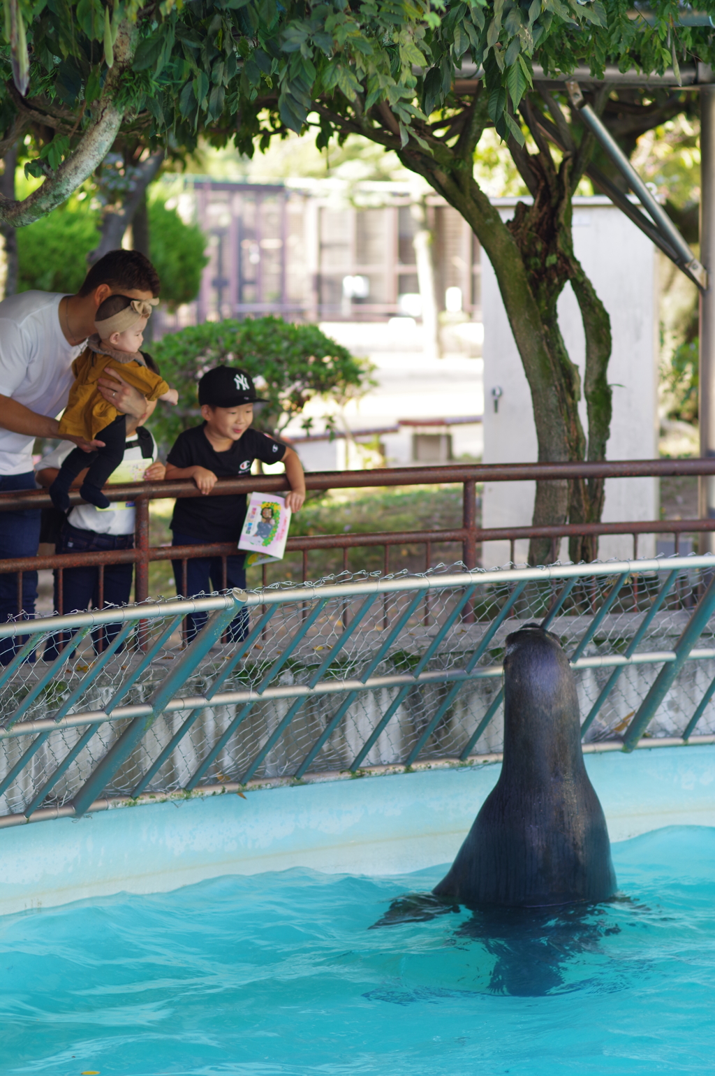 姫路城周辺観光 動物園　どこかを見てます