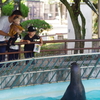 姫路城周辺観光 動物園　どこかを見てます