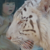 いしかわ動物園 ホワイトタイガーに見つめる女の子
